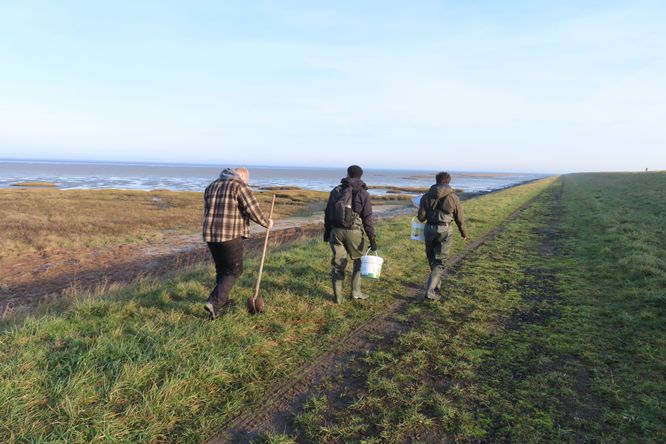 Nanotechnologie in de modder