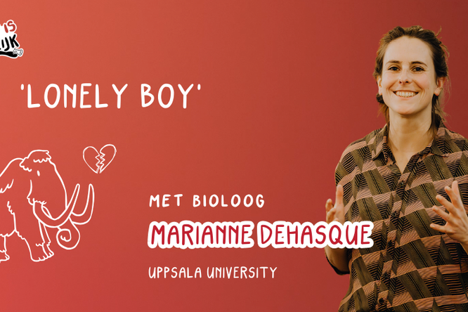 ‘Lonely Boy’