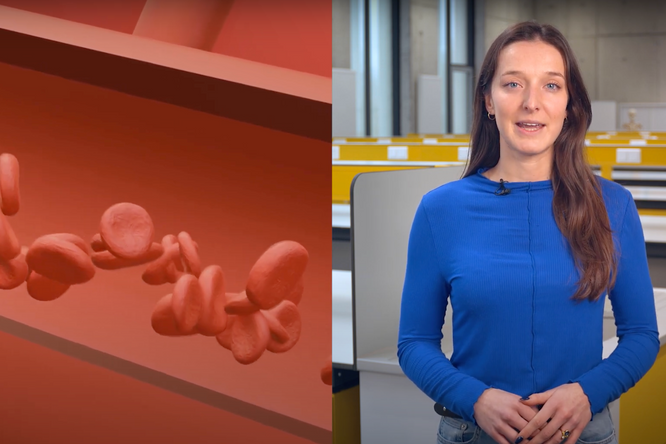 Allergiemedicatie kan jouw sporttrainingen beïnvloeden