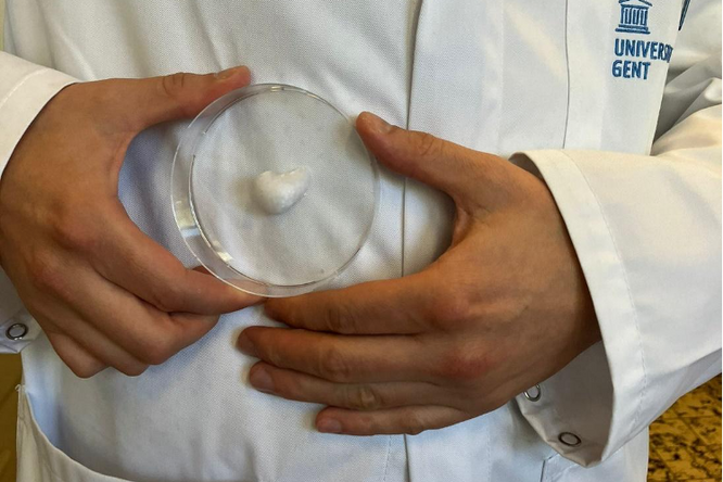 Mini-levers als hoop bij leverfalen