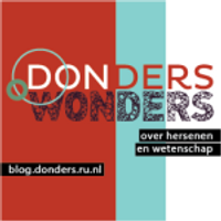 Donders wonders