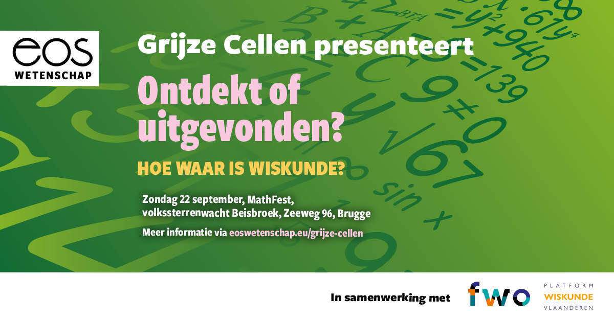 Grijze Cellen: Wiskunde, ontdekt of uitgevonden?