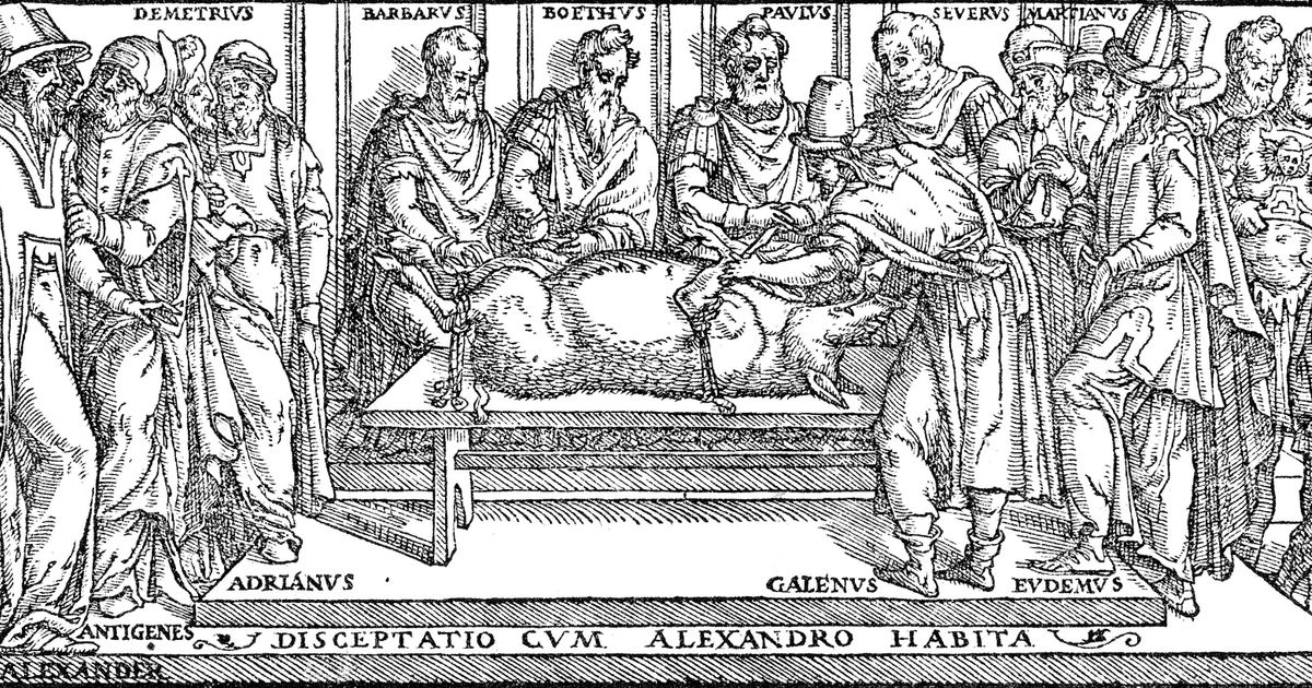 Onderzoekers herhalen ontledingen van Grieks-Romeinse arts Galenus ...