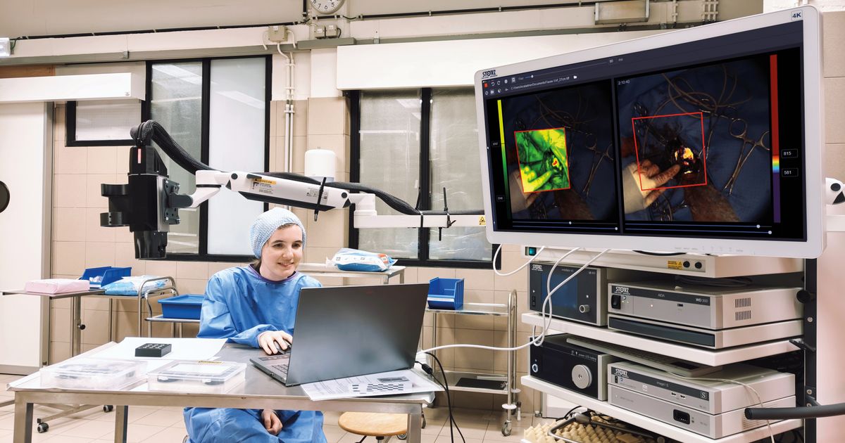 Kankercellen beter blootgelegd | EOS Wetenschap