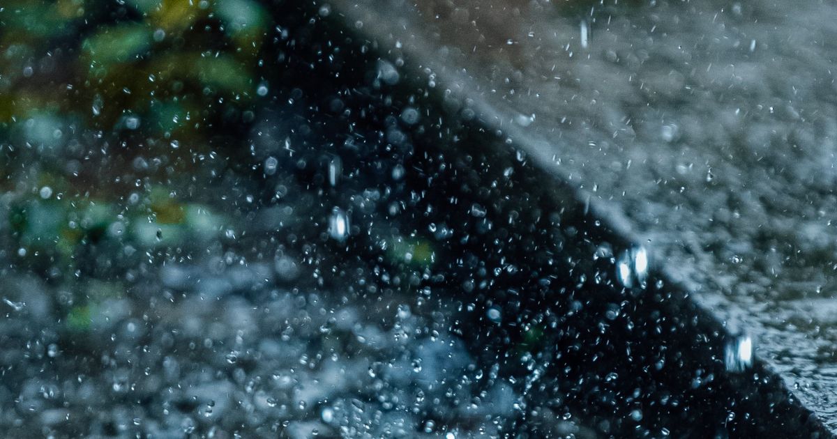 Vanwaar komt de geur van regen? | EOS Wetenschap