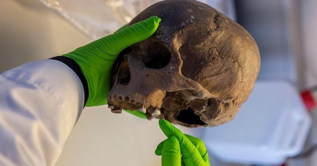 The oldest skull in Flanders was discovered in Enam.