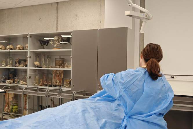 Ook het lichaam van donor PM032 voerde een verborgen strijd tegen kanker