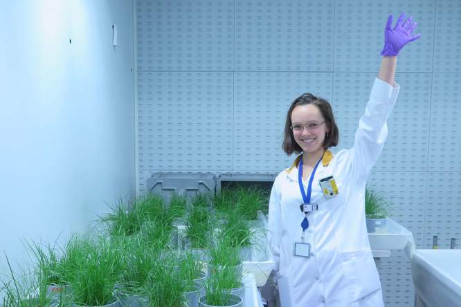 Laat het gras maar groeien ... op radioactieve bodems