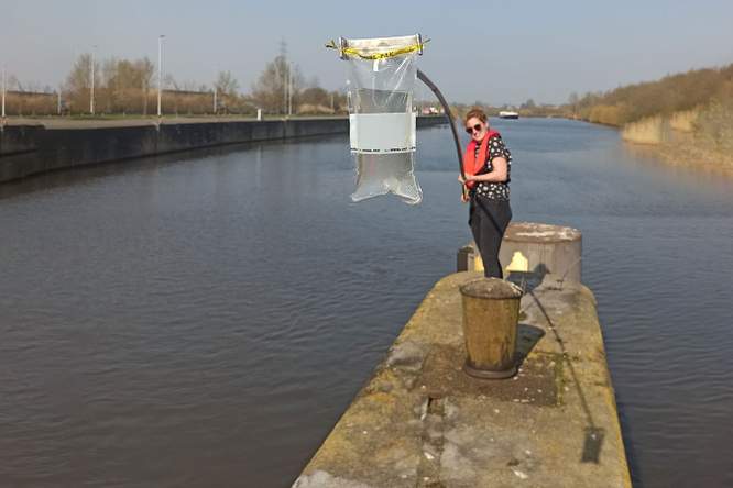 Op basis van één liter water, vertel ik je welke vissen er in deze rivier leven!