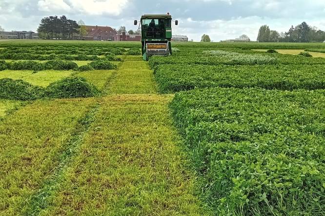 Ultieme veerkracht bij droogte: zoek het niet te ver! 
