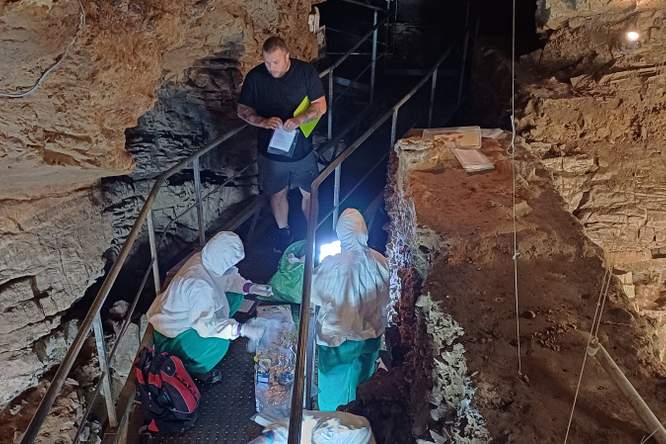 CSI Scladina: team van Nobelprijswinnaar speurt in Waalse grot naar DNA van alles wat er ooit leefde