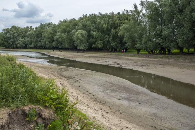 ‘We moeten het grondwater beter beheren, anders komt de voedselzekerheid in het gedrang’