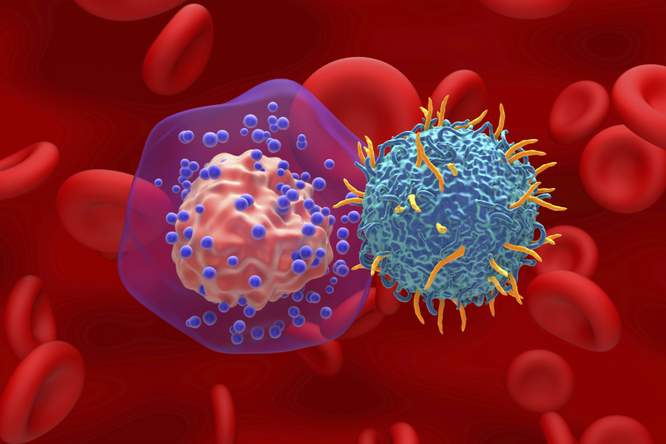 Bij deze therapie vecht het eigen lichaam tegen kanker