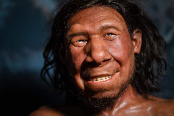 Seks tussen mens en neanderthaler was vooral tussen neanderthalerman en mensenvrouw 