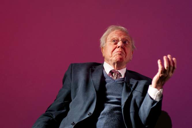 Hoe goed begrijp jij Sir David Attenborough?