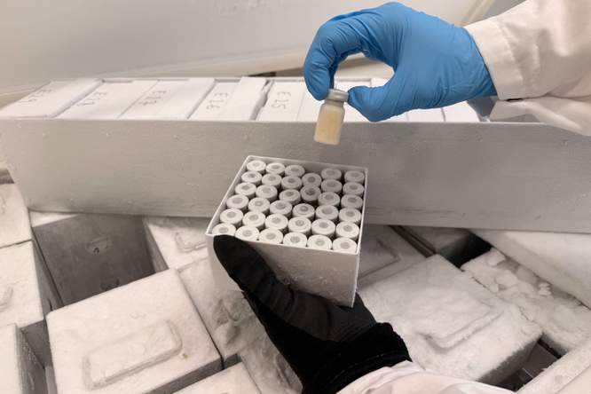 De stinkende bacterie die we niet zochten