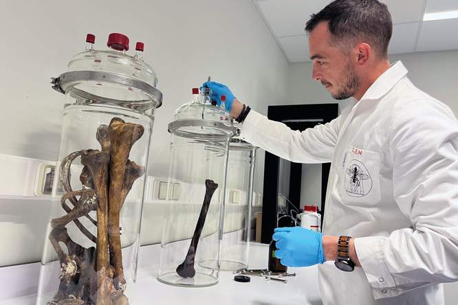 Zo ruikt de dood: waarom deze wetenschapper een ‘parfum’ van botten maakt
