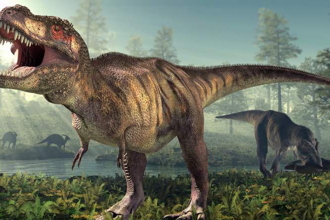 Van pluimen tot kanker: wat je nog niet wist over de dino's