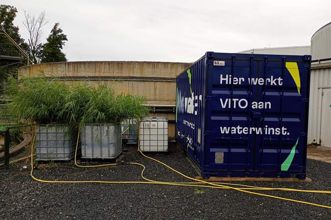 VITO en UGent onderzoeken hoe pesticiden uit afvalwater van groenten kunnen worden verwijderd