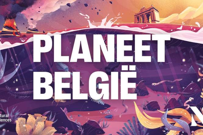 Planeet België - Wij zijn Avaloniërs (afl. 1/5)