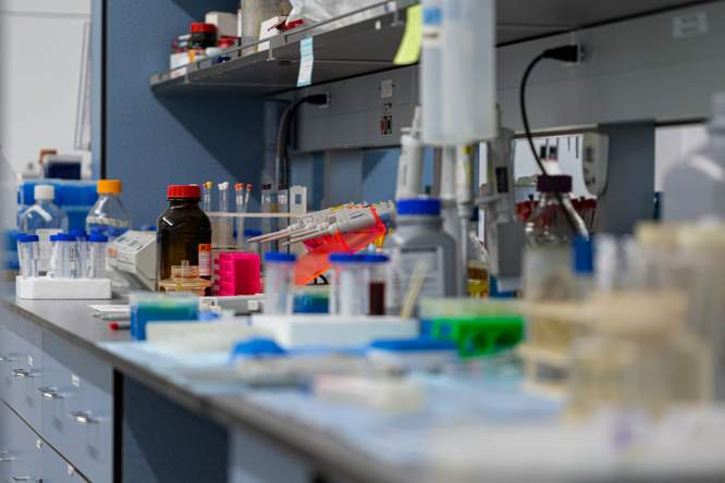 Deze bacteriën zijn de bewakers van onze gezondheid