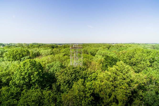 De vinger aan de pols: realtime microklimaat in het Aelmoeseneiebos