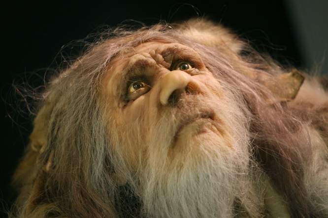 Darmflora van neanderthalers leek op de onze