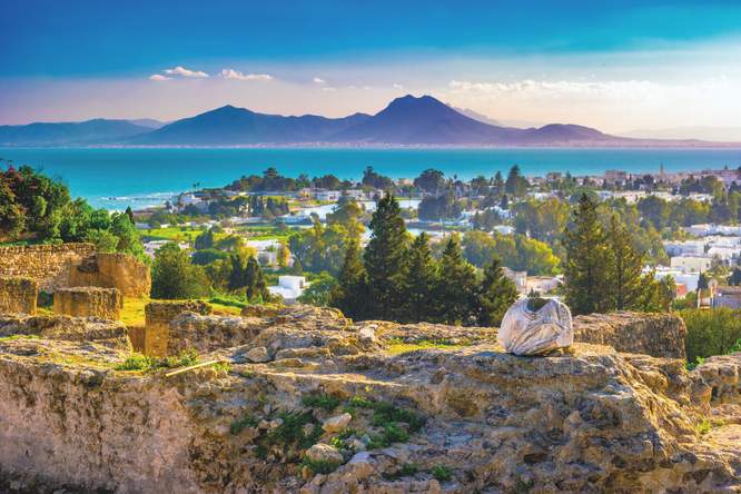 Fenicische roots van Carthago quasi afwezig in DNA