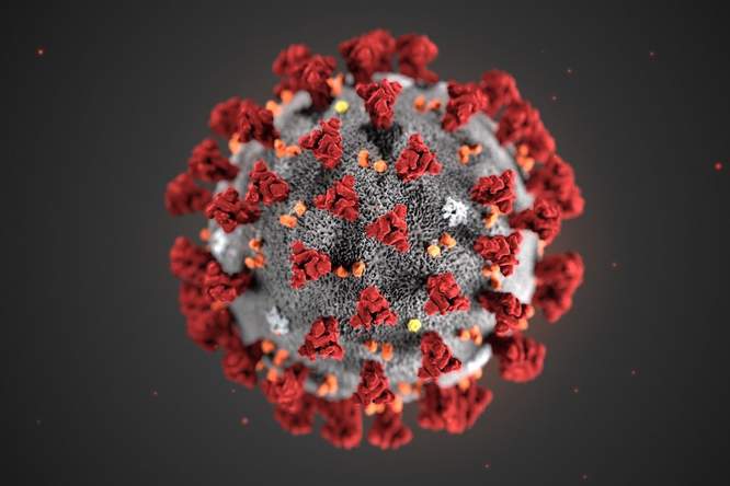 Wat weten we vandaag over het coronavirus?