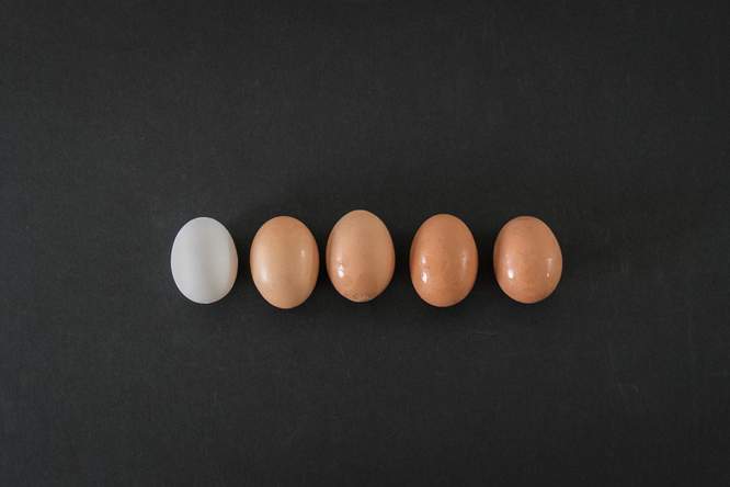 Roterende eieren simuleren hersenschudding
