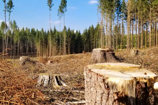 Earth Overshoot Day viel dit jaar op 28 juli. Hoe komt die datum tot stand?