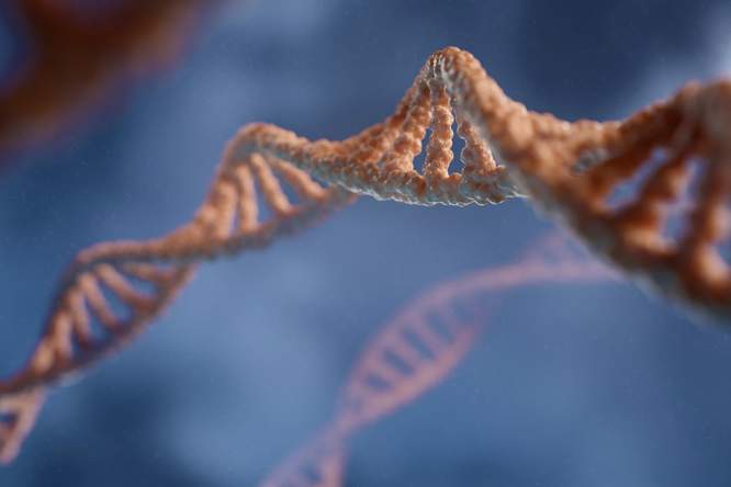 Histonen, de parelmoerkralen van je DNA