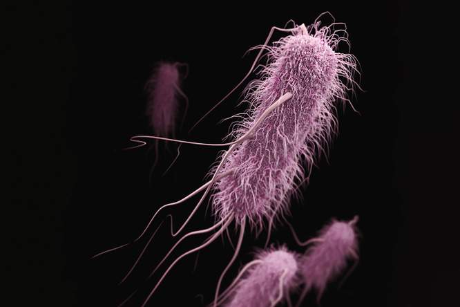 Terugblik 2025 - Darmbacteriën betrokken bij toename van darmkanker bij jonge patiënten