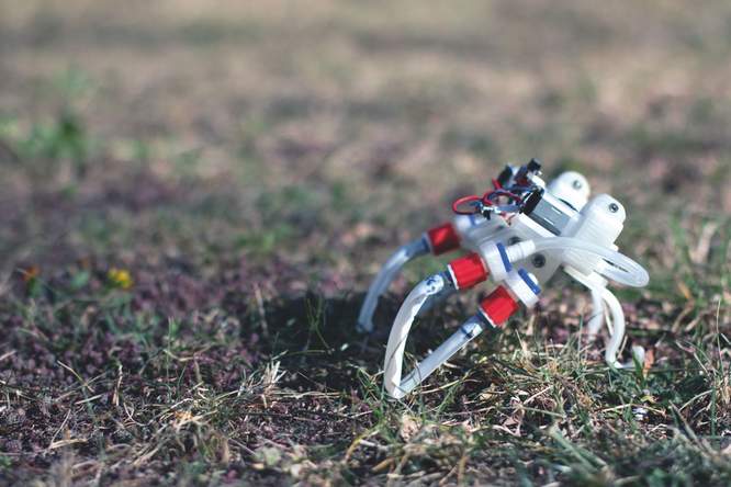 Deze robot loopt, springt en zwemt zonder brein, besturingssysteem of computer