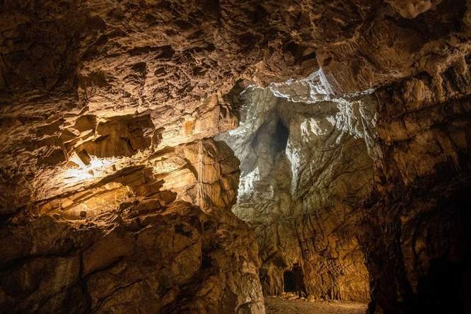 Belgische fossielen werpen nieuw licht op het uitsterven van de neanderthalers