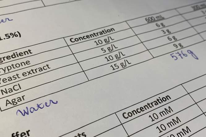 Het moleculenkookboek, de bacteriofaag-editie