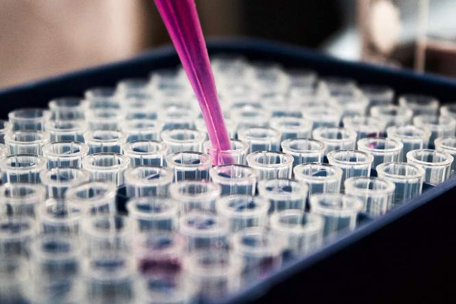 Waarom wetenschap nog niet zonder dierproeven kan
