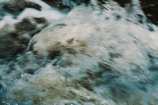 Hoe kunnen bacteriën water zuiveren?