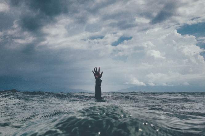 The survival of the most flexible