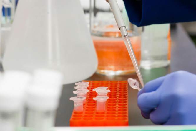 Hoe werkt de wetenschappelijke methode?