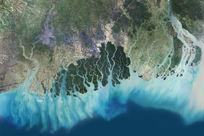 Ontbossing doet rivierdelta's groeien, voor even dan toch