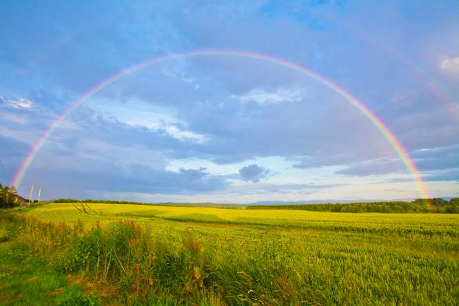 Alle kleuren van de regenboog (en hoe je ze ziet)