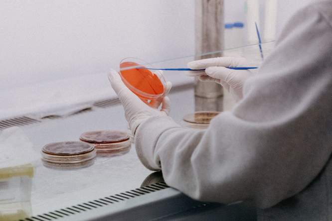 Is de kloof tussen het lab en de kliniek te groot?