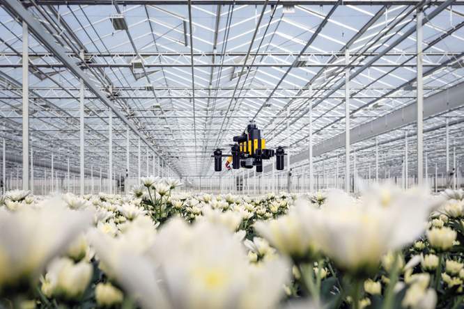 Drone vindt zijn weg naar huis met het brein van een bij